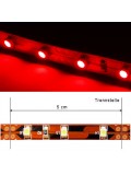 LED-Streifen 500cm, 12VDC, BIOLEDEX, 25.0Watt, 700Lumen, IP20 Innenbereich, rot